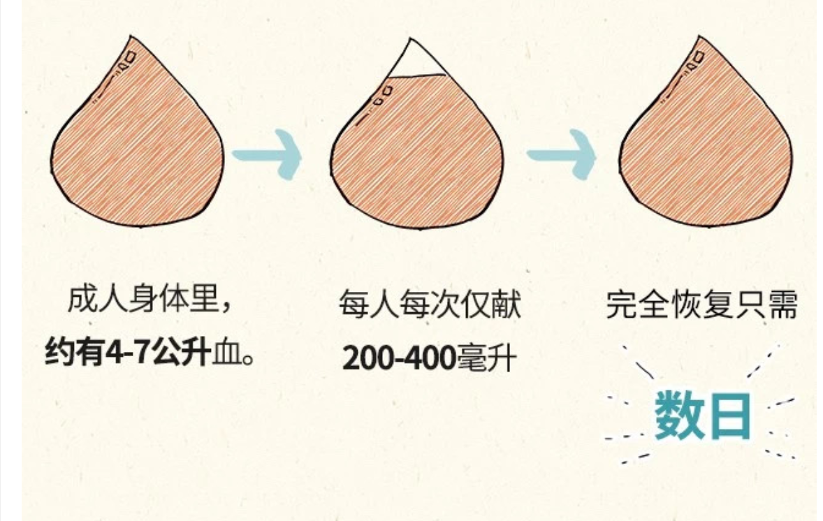 科普漫画：献血的真真假假——混子曰出品(图19)