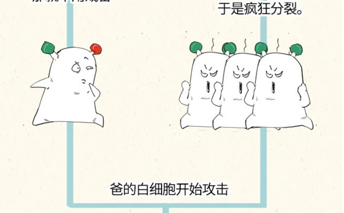 科普漫画：献血的真真假假——混子曰出品(图25)