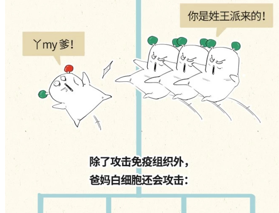 科普漫画：献血的真真假假——混子曰出品(图26)