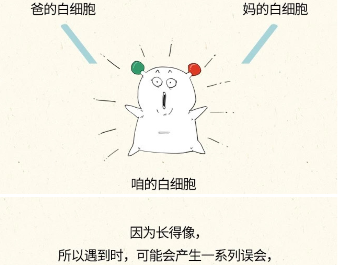 科普漫画：献血的真真假假——混子曰出品(图23)