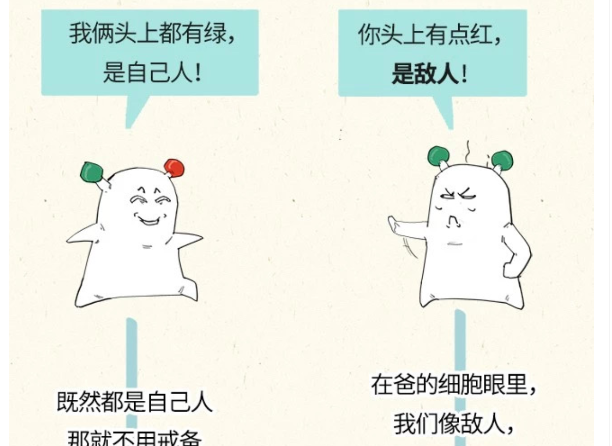 科普漫画：献血的真真假假——混子曰出品(图24)