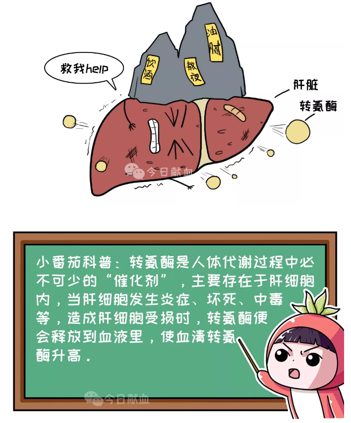 疫情间，你的血液“捞”了多少油水？(图5)